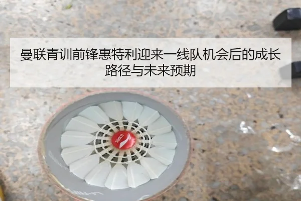 曼联青训前锋惠特利迎来一线队机会后的成长路径与未来预期 - kaiyun
